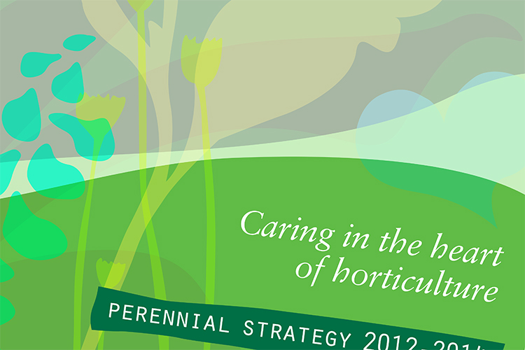 perennial annual and impact reports