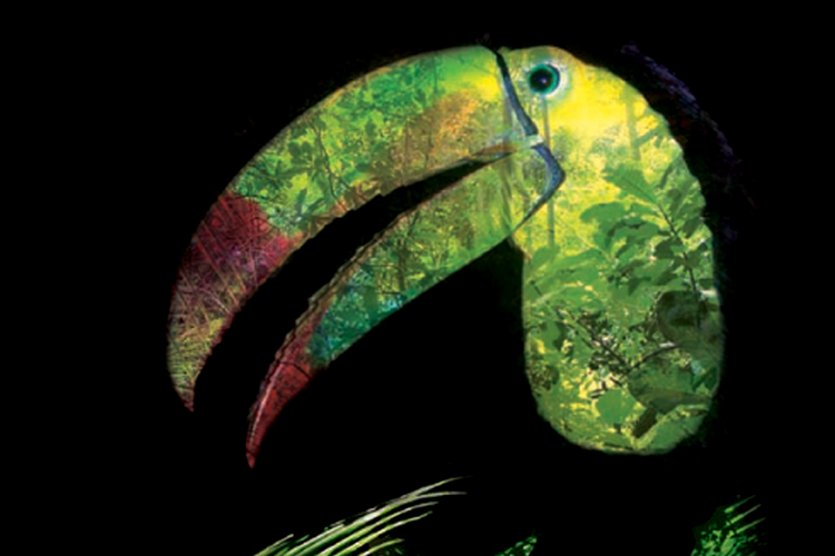 wildlife matters id communication